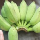 가인의원 이미지