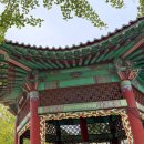 한류 행정사사무소 이미지