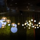 거제식물원 이미지