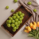 영이네농장 이미지