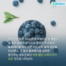 경희늘푸른노인전문병원 | 아침 과일, 혈당 걱정 없이 먹는 현명한 방법 🍎✨