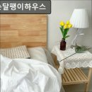 날으는달팽이하우스