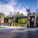 꿀벌태양광발전소 이미지