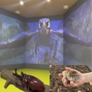 수산식품산업 거점단지 제1공중 | 충북아쿠아리움 정서곤충체험관에 다녀왔어요