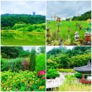 부용골프연습장 | 북서울꿈의숲 산책 1부 - 초화원, 월영지, 청운답원 꽃구경