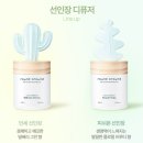 강추!!내돈내산 라운드어라운드 선인장 디퓨저 후기 ♡ 향도 인테리어도 만족!