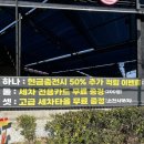 리카워시 - 화성시 동탄산척로2가길 4-5 | 리카워시