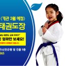 태권숲 여아전문태권도장 이미지