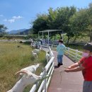 용성초교 병설유치원 이미지