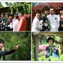 숲속의둥지 이미지