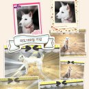 파도소리 이미지