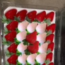 공덕농협주유소 이미지