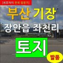 기장동부산부동산중개사무소 | [최부자의 전국 임장기] 부산시 기장군 장안읍 좌천리 토지