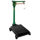 수동농장 이미지