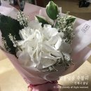 스롤라인 | 스롤라인 꽃 정기구독서비스 "꽃이오늘"/ 꽃구독, 핫팩스토어,사회적기업