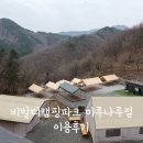 비발디 캠핑파크 | [홍천] 편의시설이 잘되어 있는 비발디캠핑파크 미루나루점 카라반 이용후기