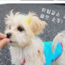 멍 핏 스튜디오 이미지