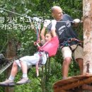 인사이트리