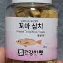 건강한 펫 이미지