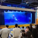 앨리스파파 시민공원 이미지