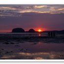 서천 바닷가 갯벌 이미지