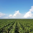 (주)경영팜 이미지