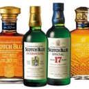 스카치블루 이미지