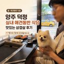 맛있는식당 - 동구 | 양주 덕정 실내 애견동반 식당 ‘맛있는 삼겹살’ 후기, 별이와 함께 다녀왔어요