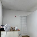 리바이브 체형교정