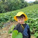 재훈농장 이미지