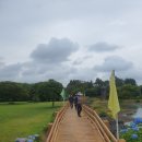 온평리(혼인지마을)농촌체험휴양마을 | 제주 서귀포 대표적인 수국명소 혼인지