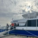 터미널스타약국 | 스타라인 노바호 타고 왕복3만원 대마도 당일치기 여행 후기