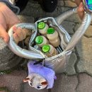 한뚝수육국밥 신창직영점 | 술 좋아하는 사람은 단 거 안좋아한다면서 (?)