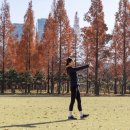 쉐라톤 뉴시스