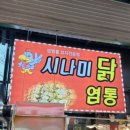 굴림동화 | 부산쥐가 혼자 야무지게 다녀온 강릉 1박2일(스압주의)