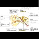 이강부부한의원 이미지