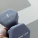 핑크덤벨 | 홈트 아령 덤벨 1kg 3kg 고르는 법(다이소 운동장갑,밴드)