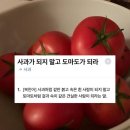 카페죽헌길 | 가을 강릉 여행 후기를 낋여왔여요