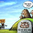 만평 이미지
