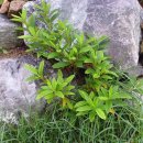 풍원농장 이미지