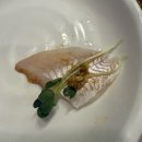참바다세꼬시 | [동래 온천시장 맛집 추천자연산 활어회를 가성비 있게 즐긴 곳, '참바다' 다녀온 후기🐟