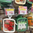 더느린제과점 | 대만 [타이중] 2일차 / 태풍 속에서 시작한 하루 / 그래도 춘수당부터 이중거리까지