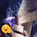 앨리스상점 이미지