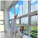 마루한 다한 태권도 이미지