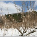 미골농장 이미지