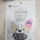 모모애견샵 이미지