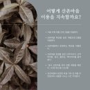 장곡마을 이미지