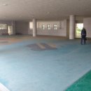 서울강월초등학교 이미지