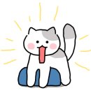 고양이묭실 이미지