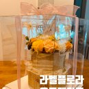 라벨플로라 이미지